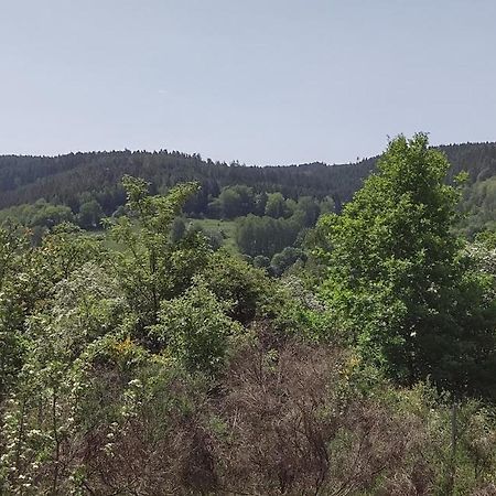 Sessles Waldhaeusschen Dietzhausen Suhl Exterior foto
