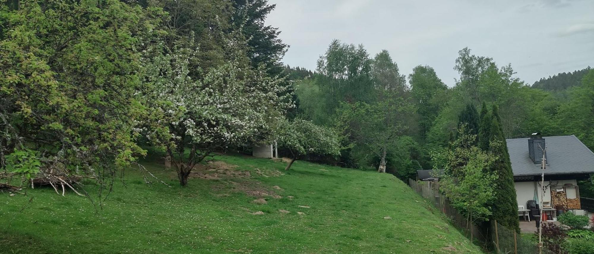 Sessles Waldhaeusschen Dietzhausen Suhl Exterior foto