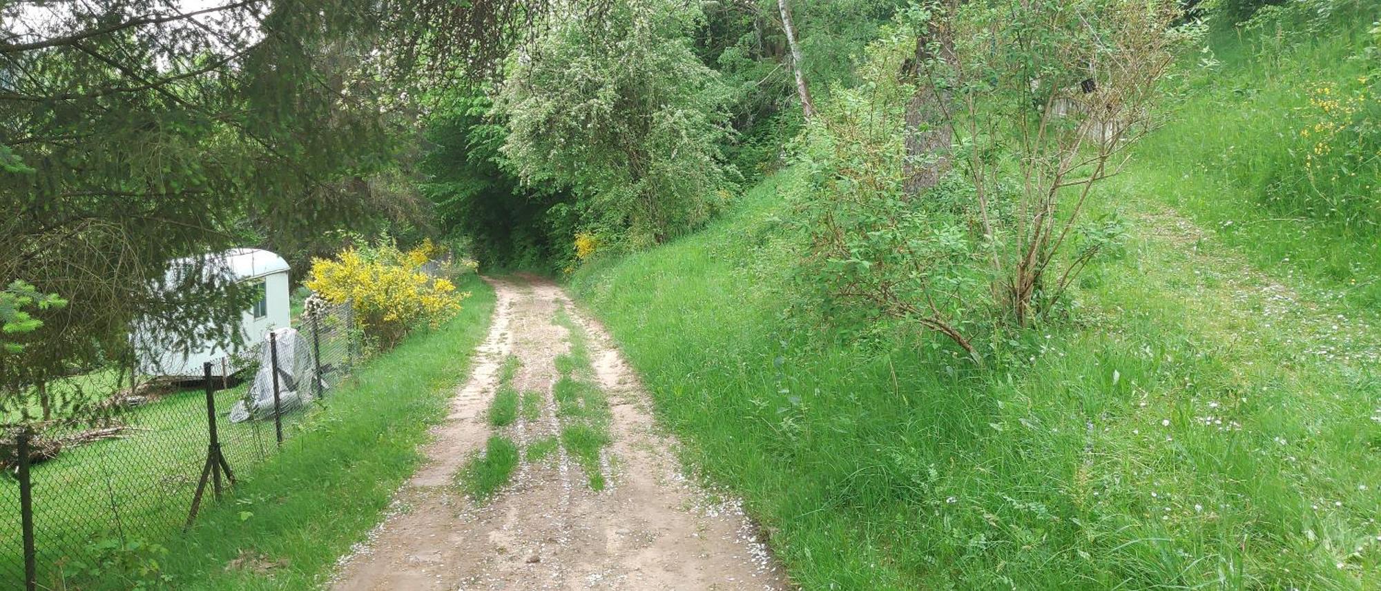 Sessles Waldhaeusschen Dietzhausen Suhl Exterior foto