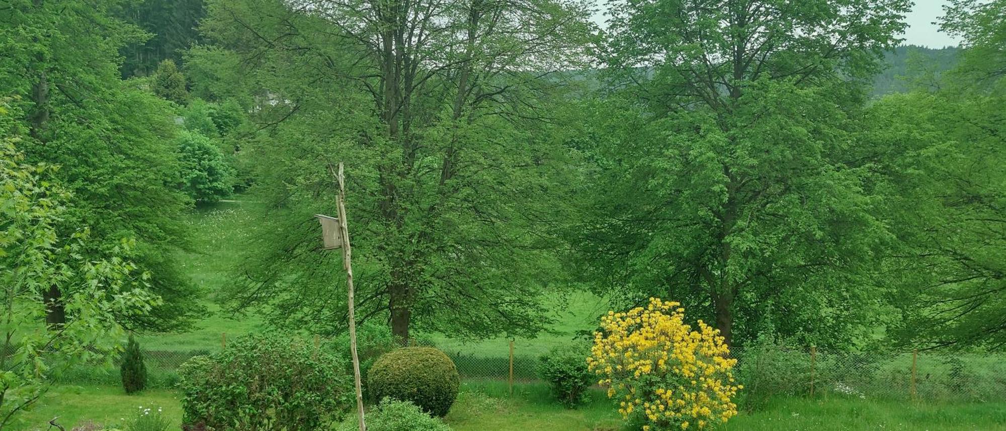 Sessles Waldhaeusschen Dietzhausen Suhl Exterior foto